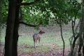 bd_DSC00294 (2)